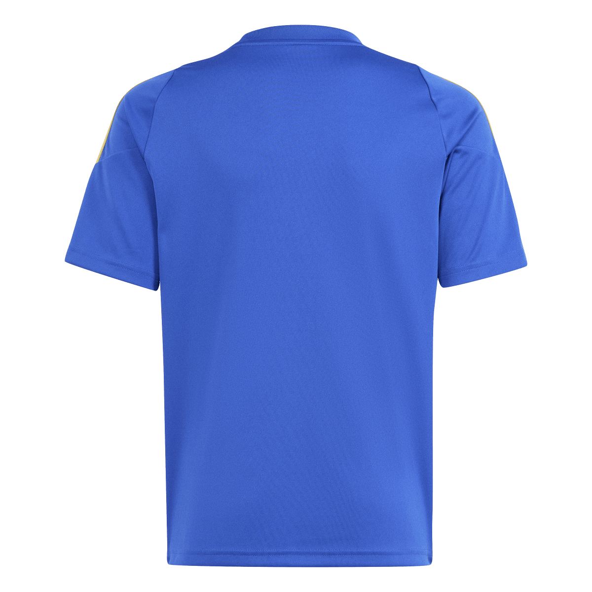 Adidas Messi Youth Training Jersey IS6471 Blue / Gold