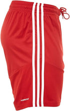 Load image into Gallery viewer, CAMP 13 Adult SHORTS - Z20540