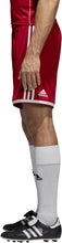 Load image into Gallery viewer, REGISTA 18 Adult SHORTS - CW2019
