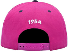 Load image into Gallery viewer, Fan Ink Pumas Truitt Adjustable Snapback Hat PUM-2098-5410 PINK/WHITE/BLUE