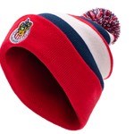 Fan Ink Chivas Beanie CHI-2034-1122