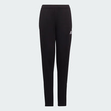 Load image into Gallery viewer, Entrada 22 Training Pants HC0337