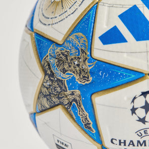 adidas UCL Pro 25/26 Stage Soccer Ball JD0188