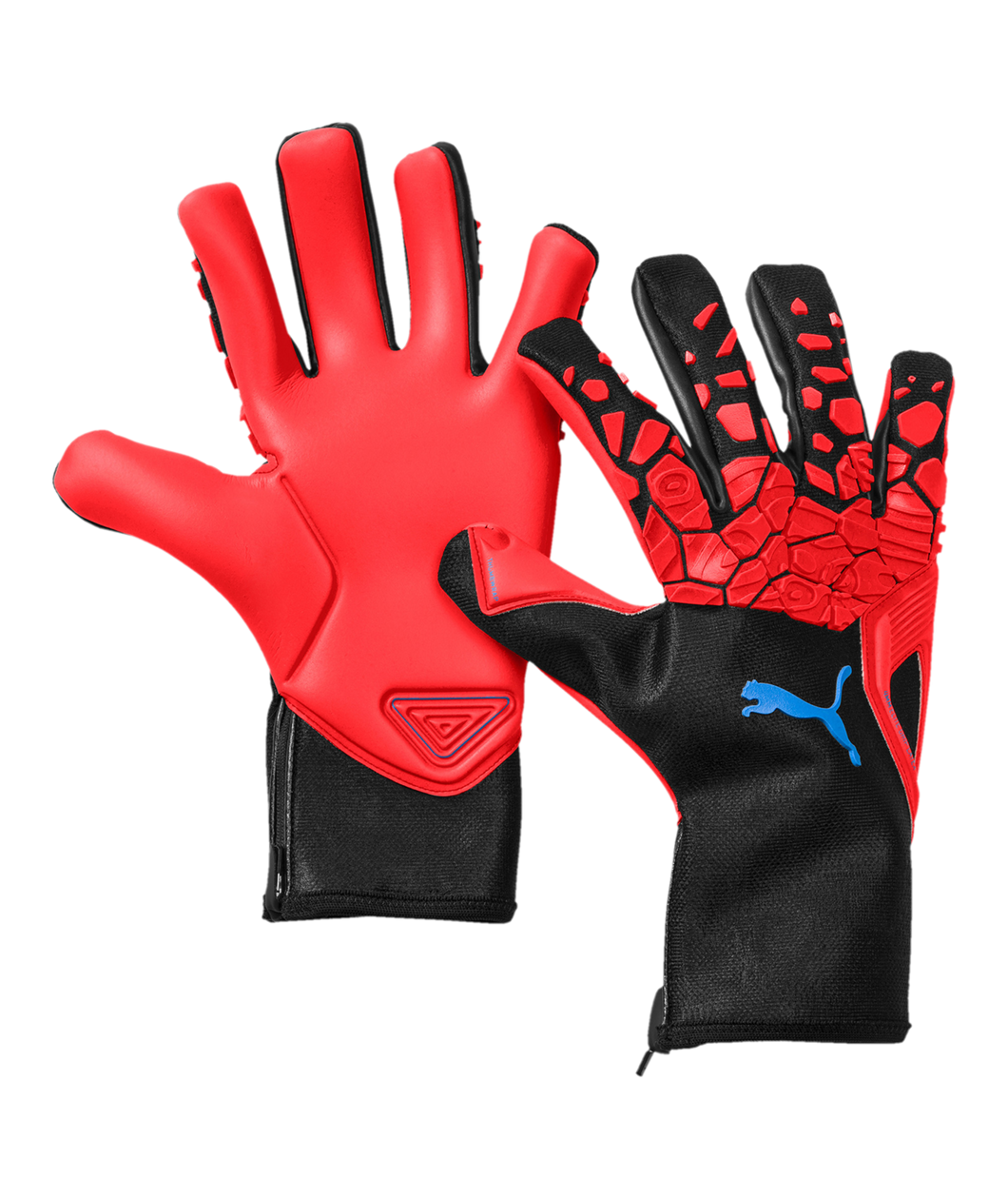 Puma sales evospeed 19.1