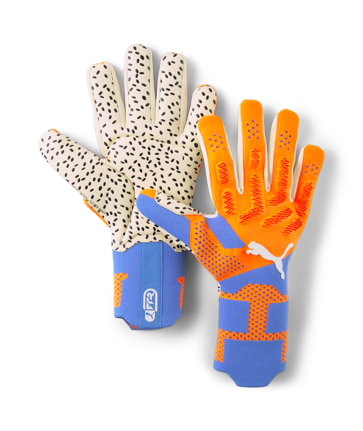 Puma Future Goalkeeper Gloves