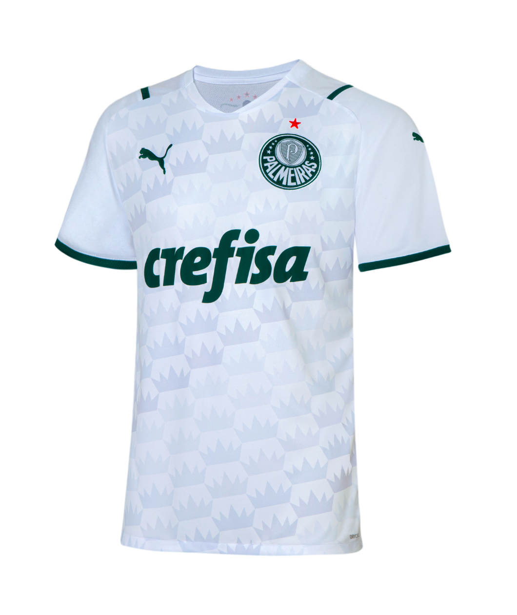Puma Palmeiras Away Jersey 2021 705192 01 WHITE/GREEN