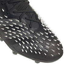 Load image into Gallery viewer, adidas Predator Freak.1 Firm Ground Youth Cleats - FY1027 Black/White