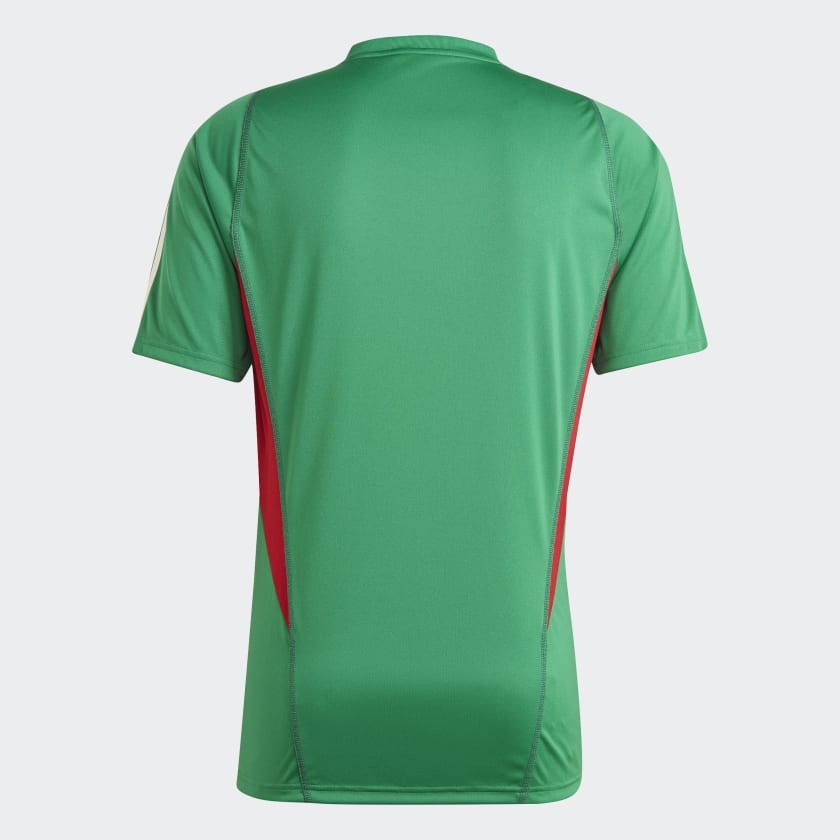 mexico jersey 2x